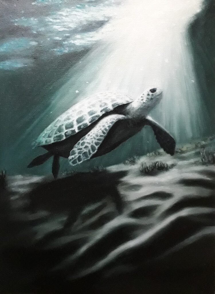schilderij-olieverf-schildpad-onderwater-ge-schild-erd