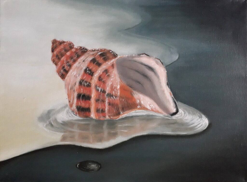 schilderij-olieverf-stilleven-strand-schelp-ruis