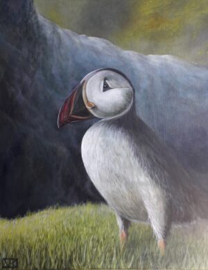 schilderij-olieverf-papegaaiduiker-vogel-duiker